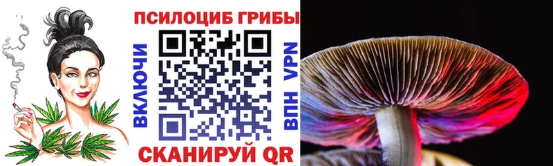 блэк спрут   darknet телеграм  Галлюциногенные грибы мухоморы  хочу   Удачный 